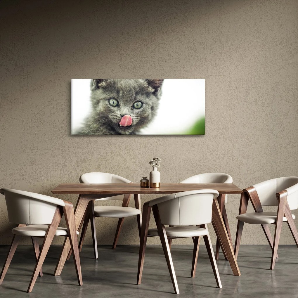 Tablou cu pisicuța lingându-se (120x50 cm)