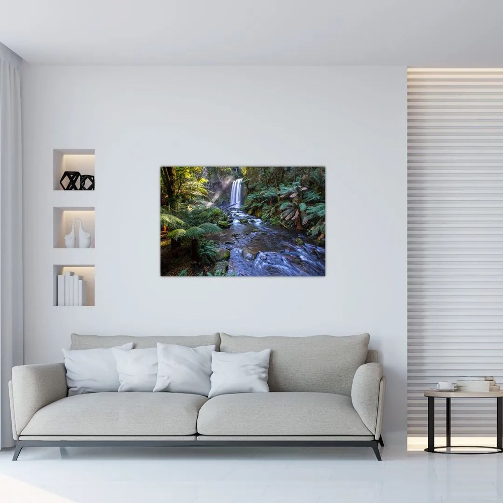 Tablou cu pădurea ploilor din Austalia (90x60 cm)