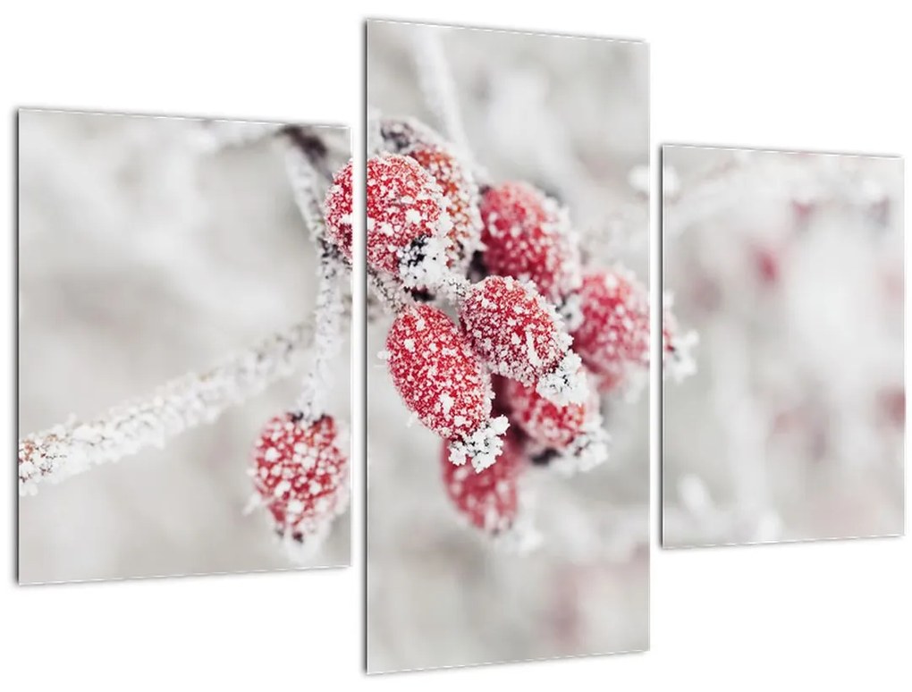 Tablou - Fructe congelate (90x60 cm)