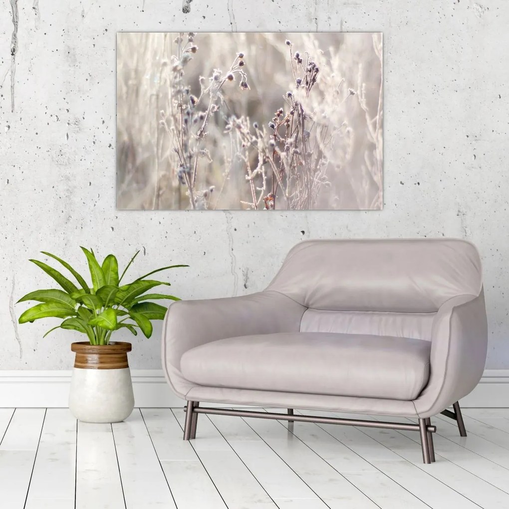 Tablou - Plante (90x60 cm)