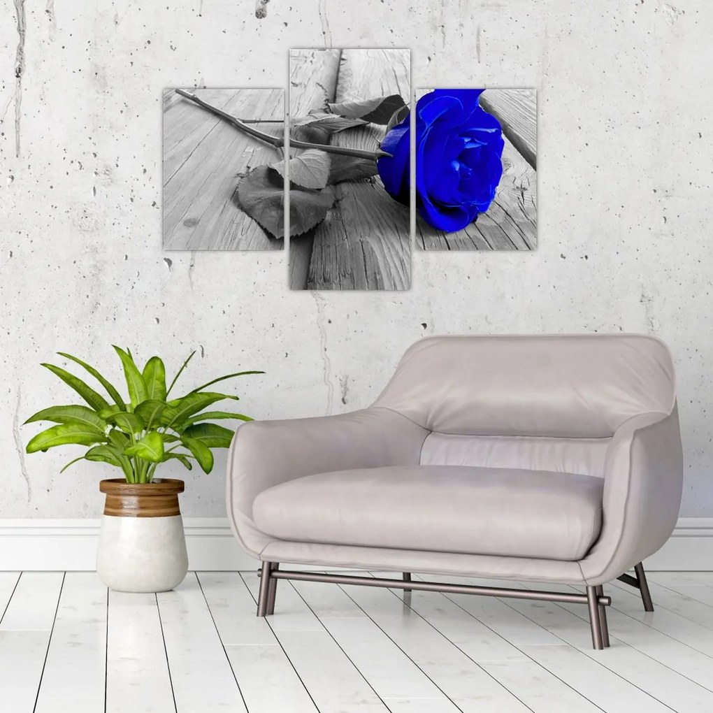 Tablou - Trandafir albastru (90x60 cm)