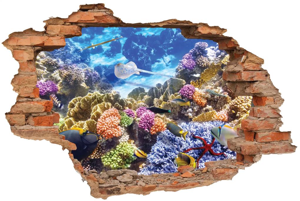 Sticker cu efect 3D - Viata subacvatica