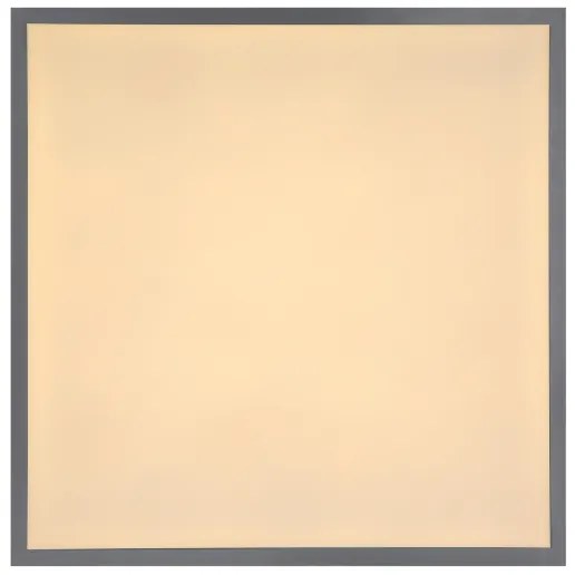 Globo 416080D2 - Plafonieră LED DORO LED/24W/230V