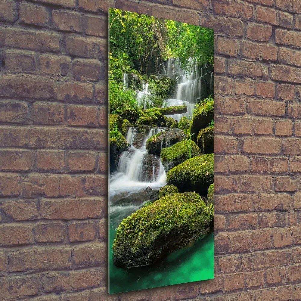 Imagine de sticlă Cascada din junglă