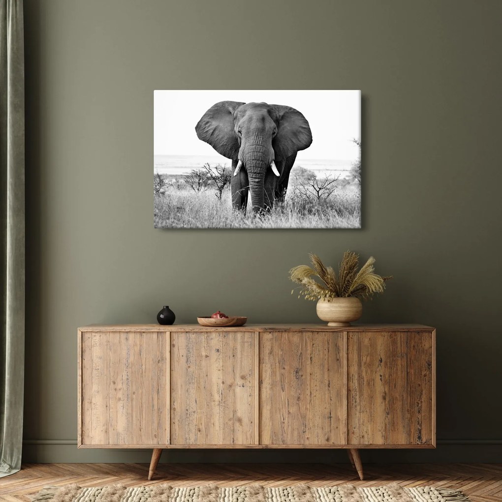 Tablou - Elefantul african II. (90x60 cm)