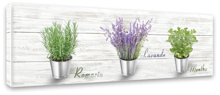 Tablou Styler Canvas Shabby Herbs, 27 x 75 cm