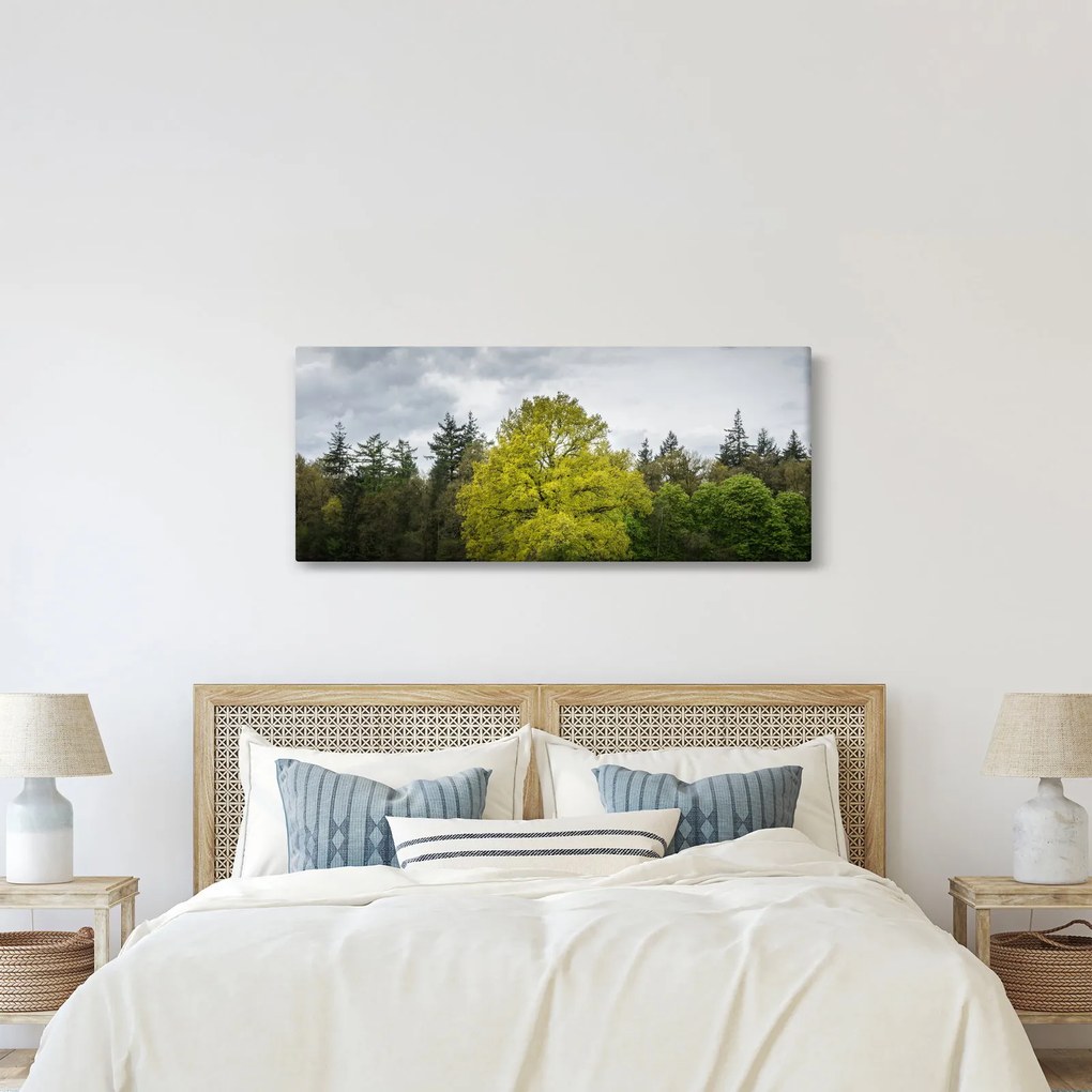 Tablou - Copac verde în câmp (120x50 cm)