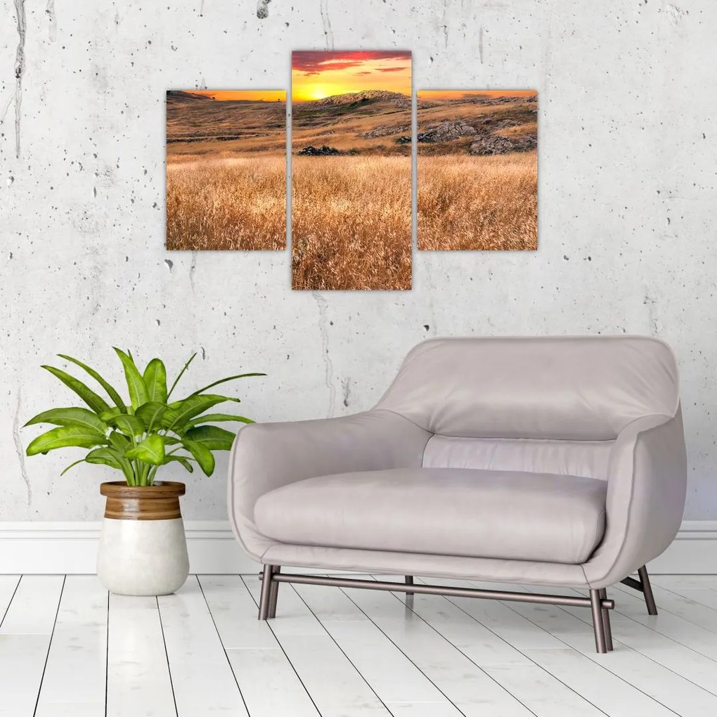 Tablou cu câmp (90x60 cm)