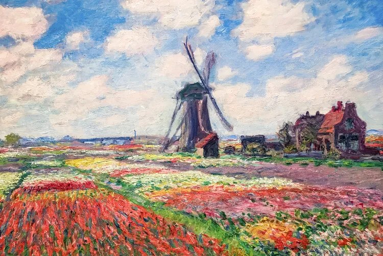 Reproducere Tulip Fields with the Rijnsburg Windmill, 1886, Claude Monet