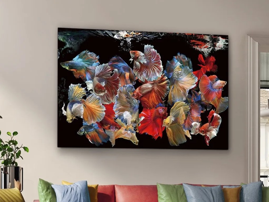 Tablou de perete decorativ Peces Siam, 150x100cm