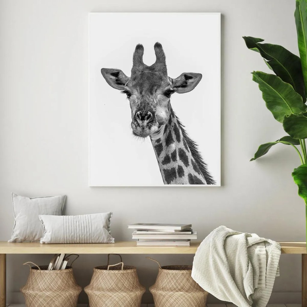 Poster - Girafa (A4)