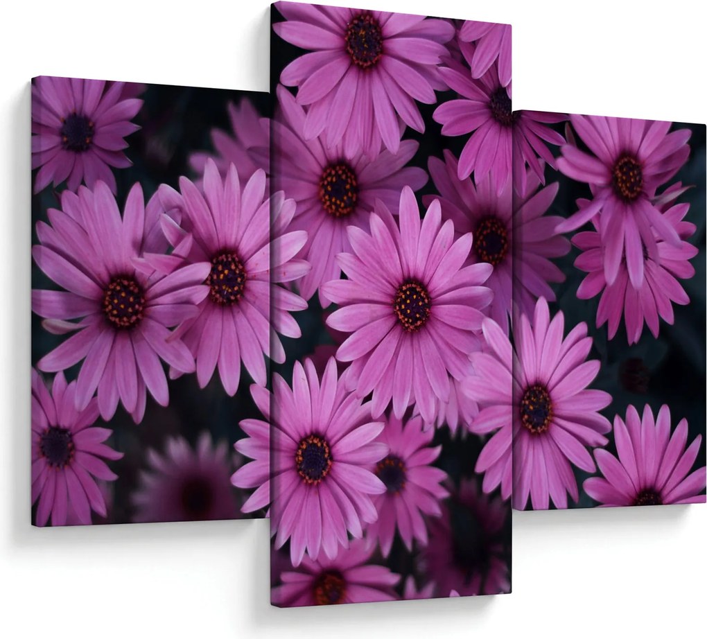 Tablou cu florile roz (90x60 cm)