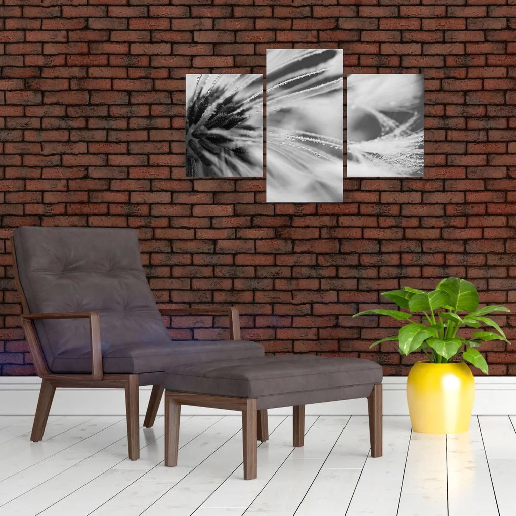 Tablou - Macro,alb-negru (90x60 cm)