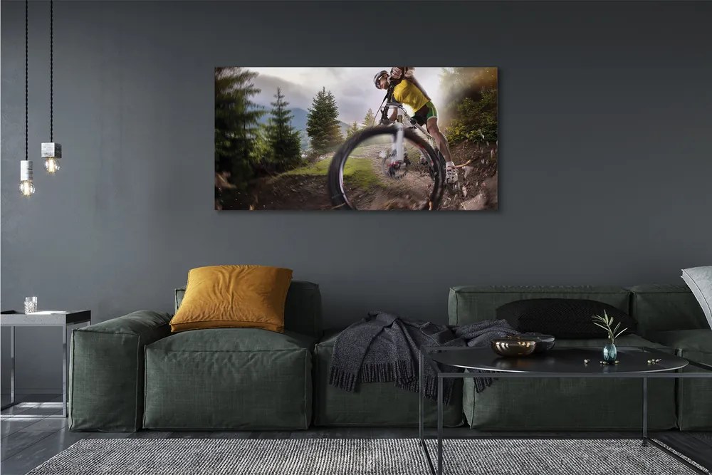 Tablouri canvas Cloud mountain bike