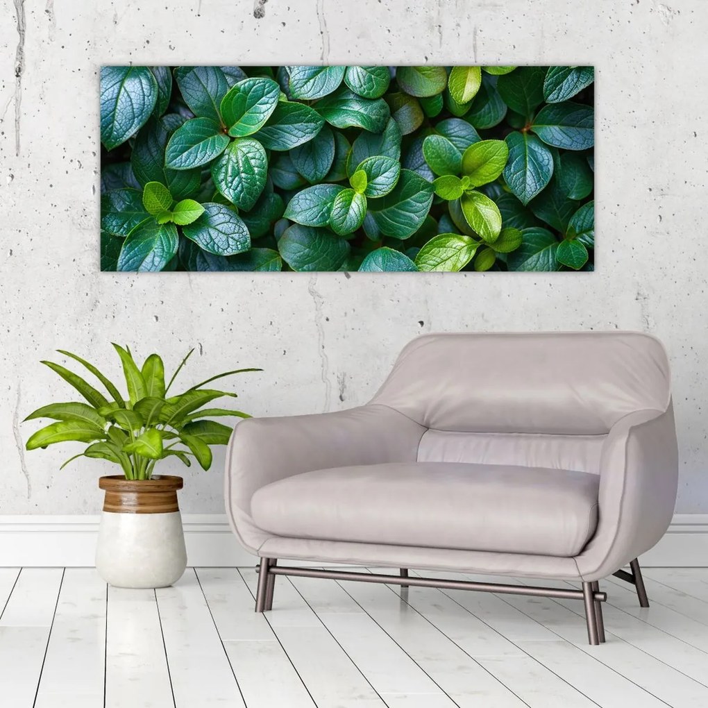 Tablou - Plante verzi (120x50 cm)