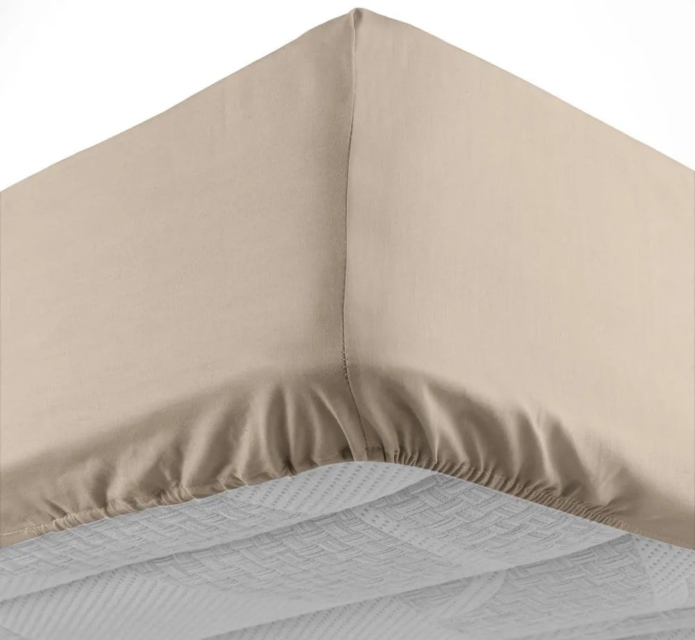 Cearceaf maro deschis din bumbac cu elastic 180x200 cm Lina – douceur d'intérieur