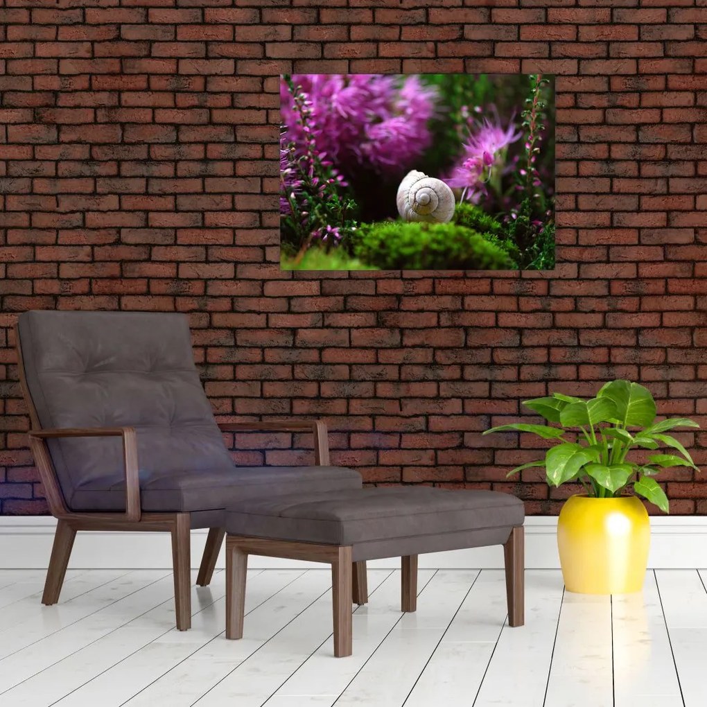 Tablou - Cochilie de melc (70x50 cm)