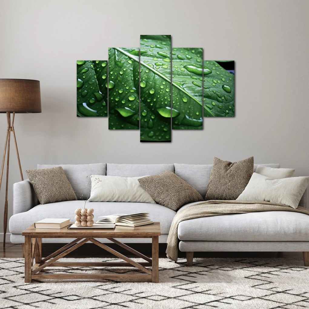 Tablou - Detaliu de frunze după ploaie (150x105 cm)