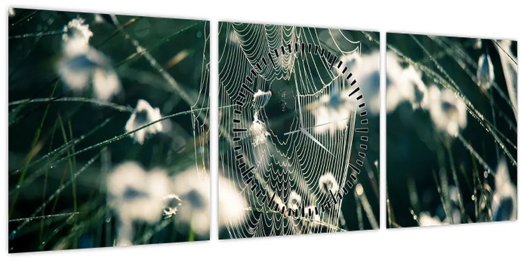 Tablou - Pânză de păianjen (cu ceas) (90x30 cm)