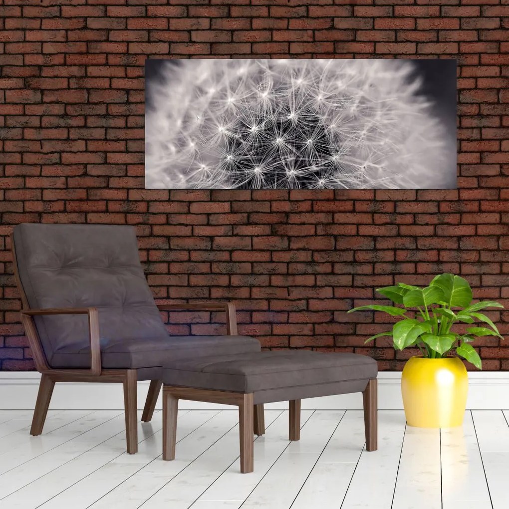 Tablou cu păpădie (120x50 cm)