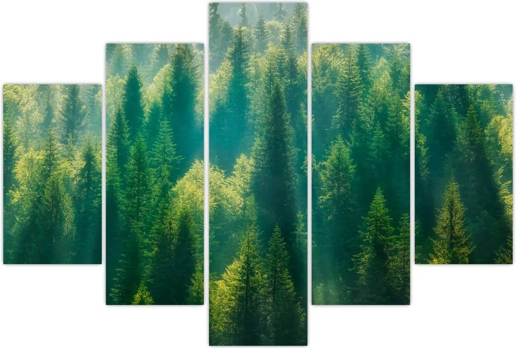 Tablou - Pădurea de brazi (150x105 cm)