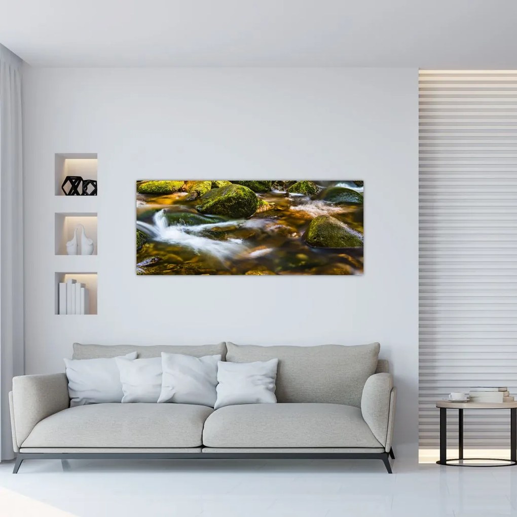 Tablou cu părâu (120x50 cm)