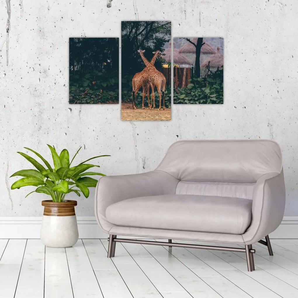 Tablou cu două girafe (90x60 cm)