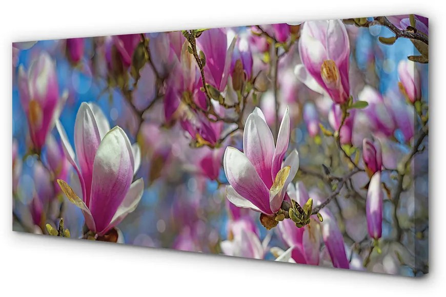 Tablouri canvas copac magnolie