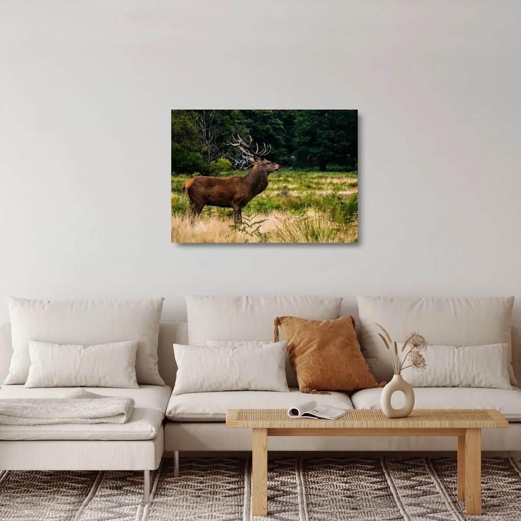 Tablou pe sticlă cu cerb (70x50 cm)