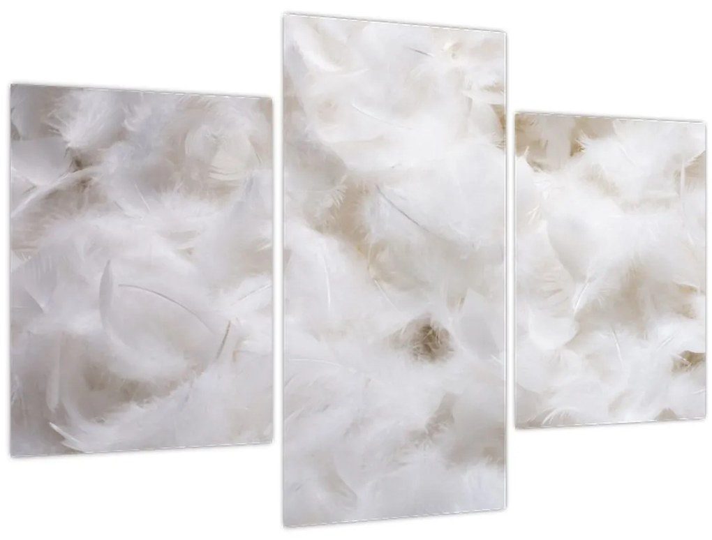 Tablou - Pene albe (90x60 cm)