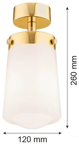 Lustră aplicată PASADENA 1xE27/15W/230V aurie/albă Argon 8005