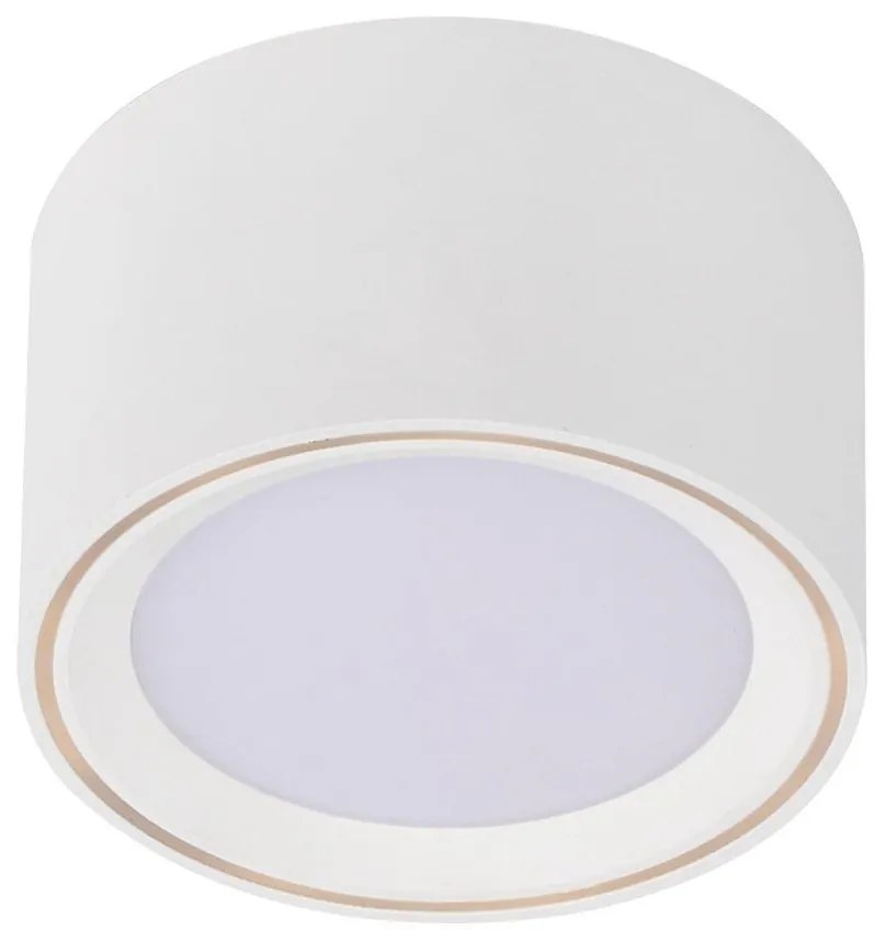 Spot LED aplicat Fallon alb 4-Step MOODMAKER 47540101 NL