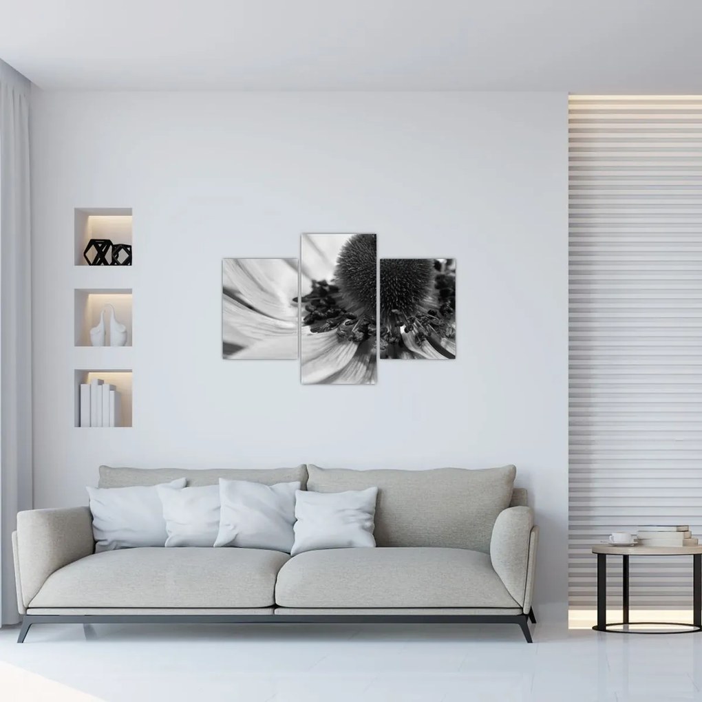 Tablou - Floare în alb-negru (90x60 cm)