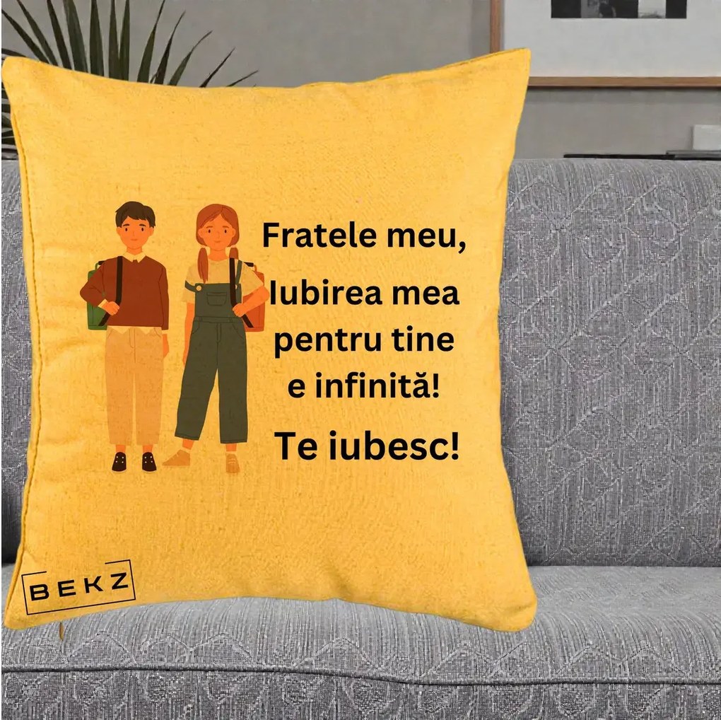 Cadou pentru Frate - Perna Personalizata Fratele Meu Te Iubesc Elevi Ilustratie Colorata, 40x40 cm, Galben, Husa Detasabila, Perna Inclusa, BEKZ®