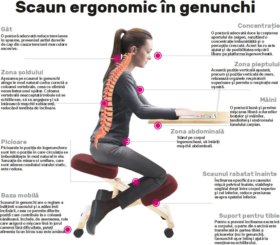 Scaun ergonomic, petrol/ fag, FLONET