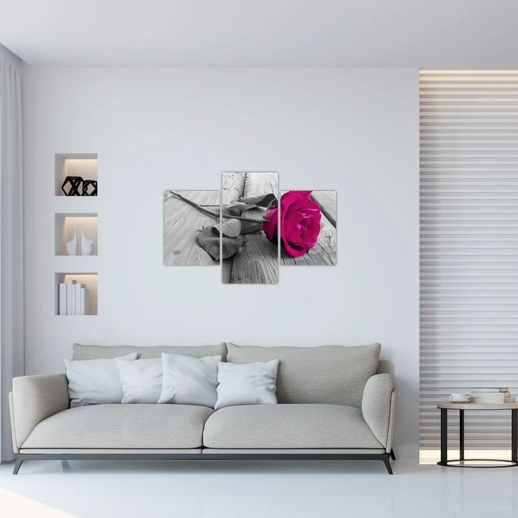 Tablou - Trandafir roz (90x60 cm)