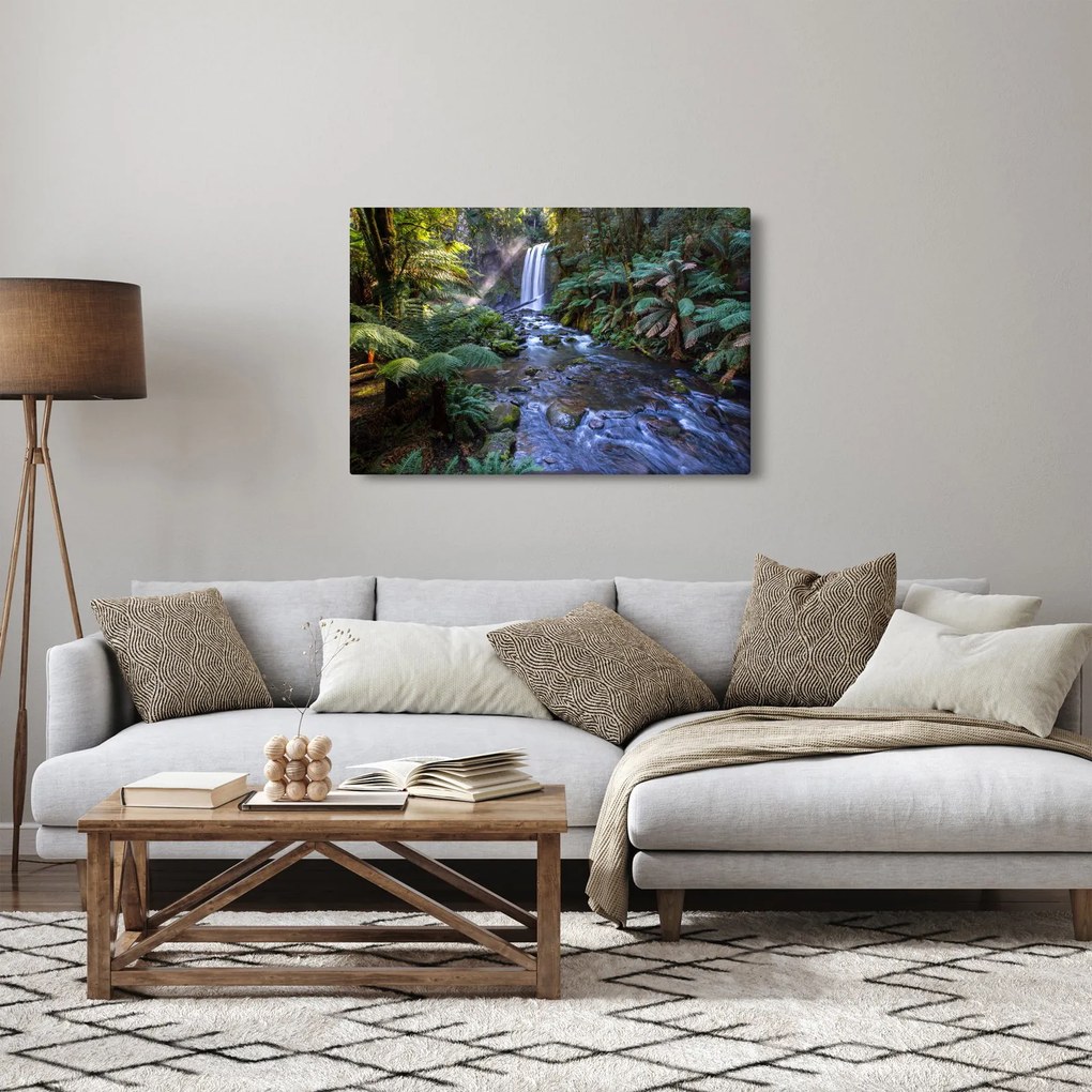 Tablou cu pădurea ploilor din Austalia (90x60 cm)