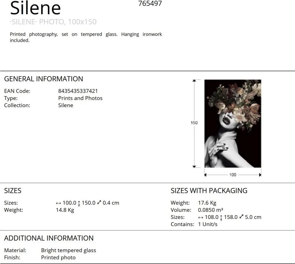 Tablou de perete decorativ Silene, 100x150cm