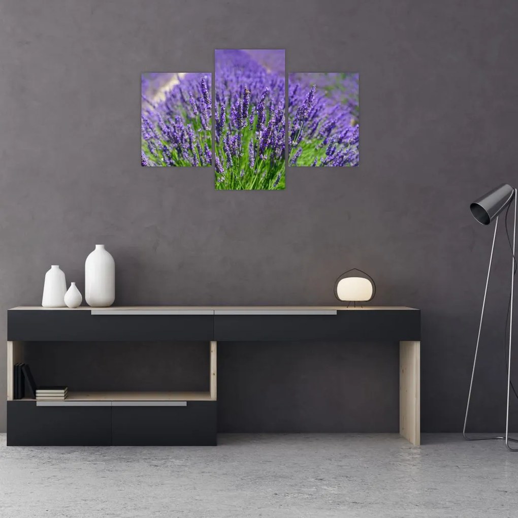 Tablou - lavanda (90x60 cm)
