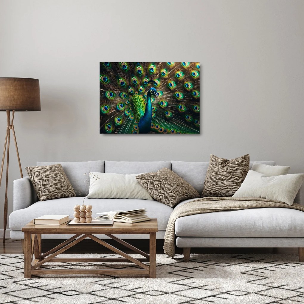 Tablou pe sticlă – Păun (70x50 cm)