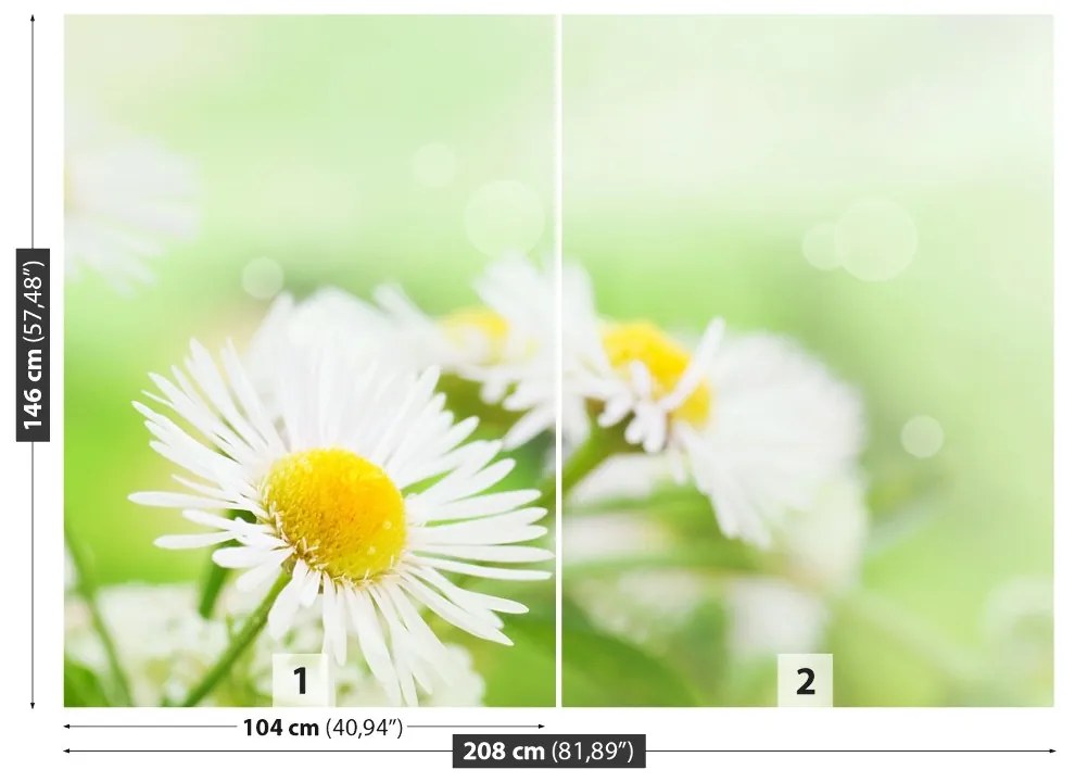 Fototapet Green Daisy