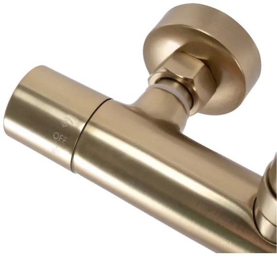 REA-P2323 - Set de duș PAROT cu baterie termostatică, finisaj auriu periat