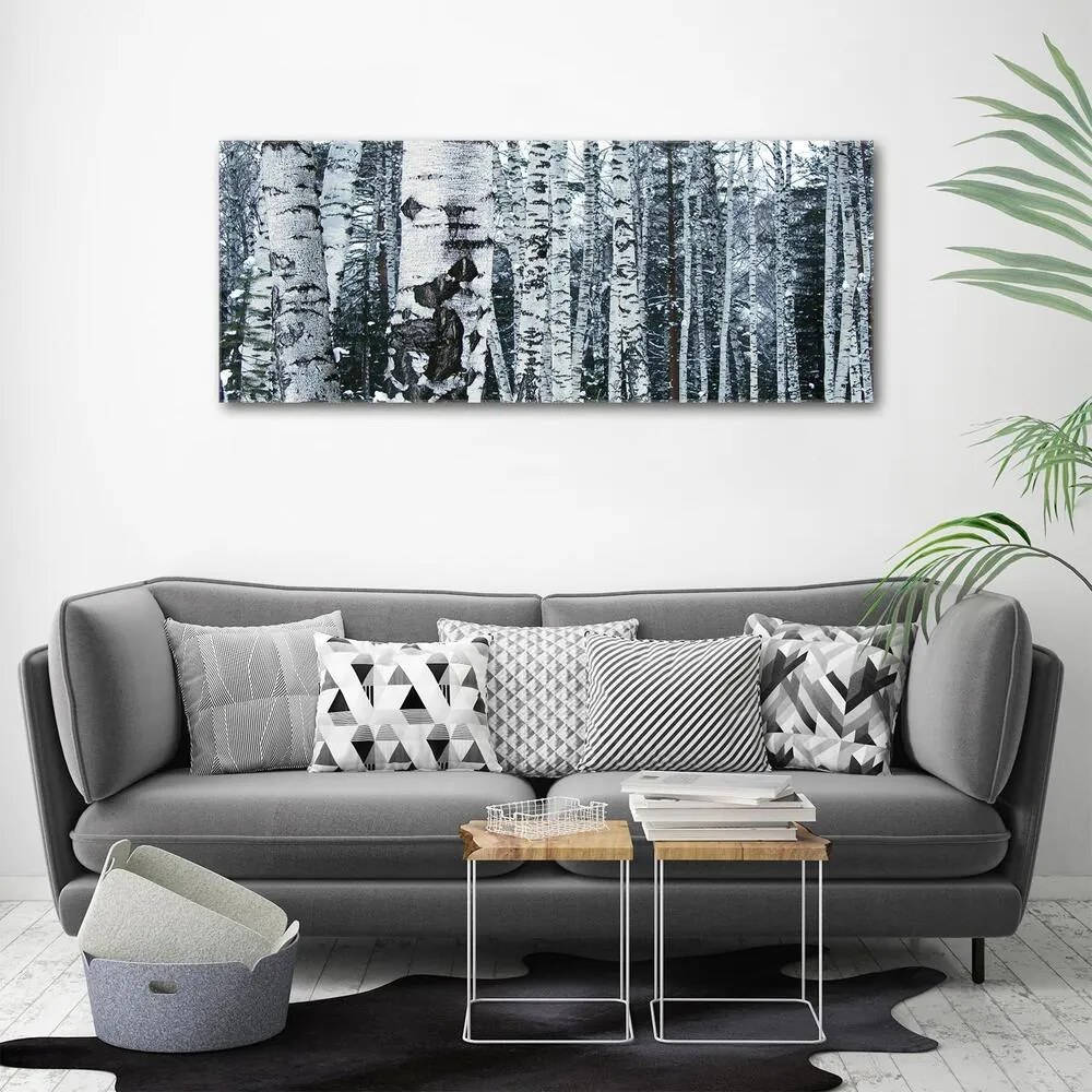 Tablou canvas Mesteacan
