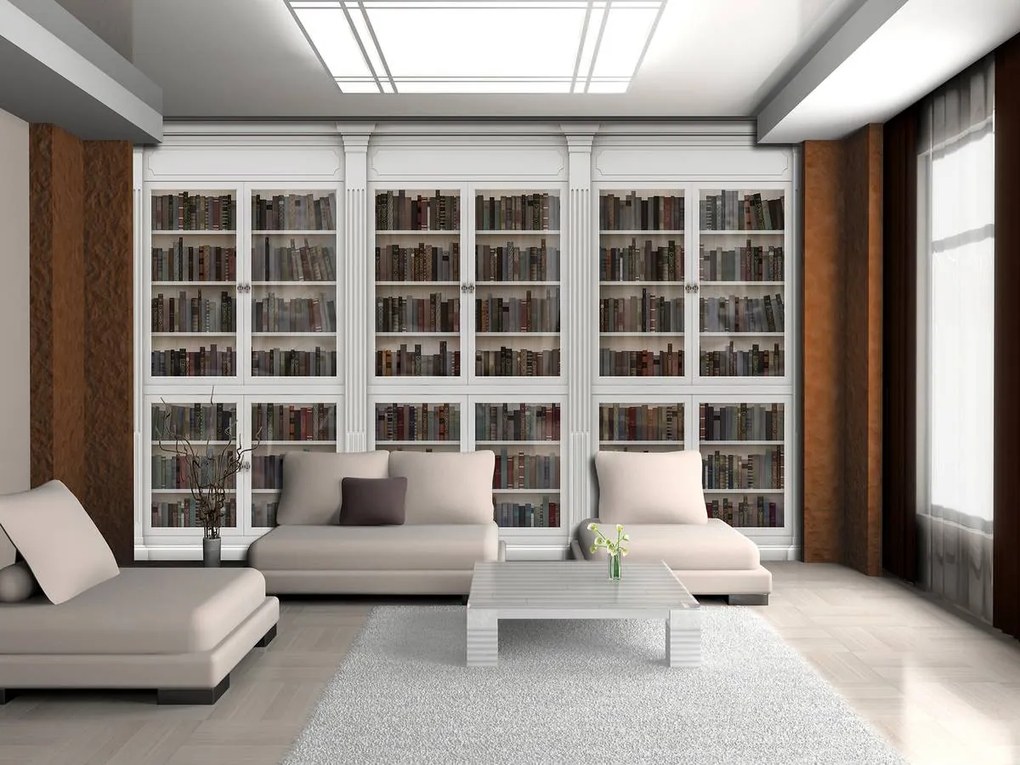 Fototapet - Biblioteca plină de cărți (152,5x104 cm)