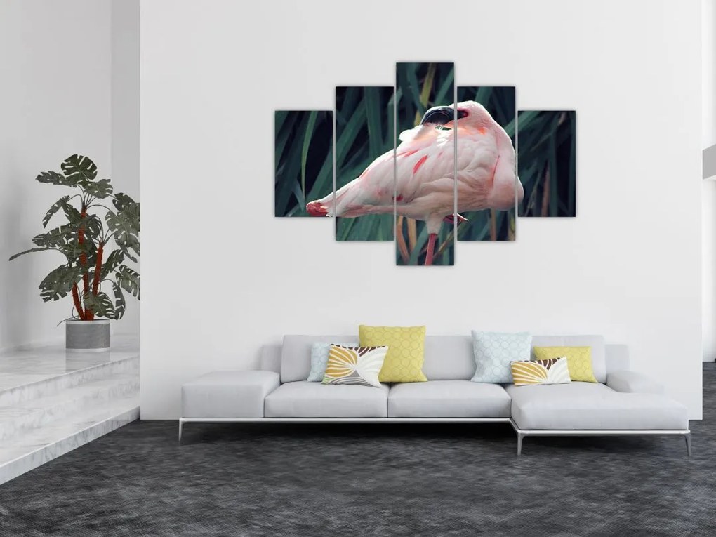 Tablou - Pasărea Flamengo (150x105 cm)