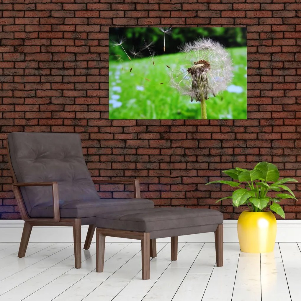 Tablou cu păpădie (90x60 cm)