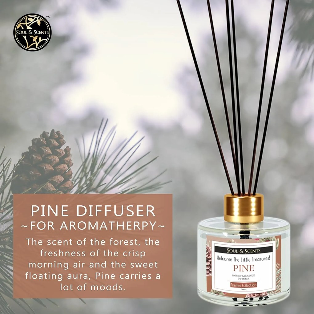 Odorizant camera cu betisoare PINE, SS India, 120 ml