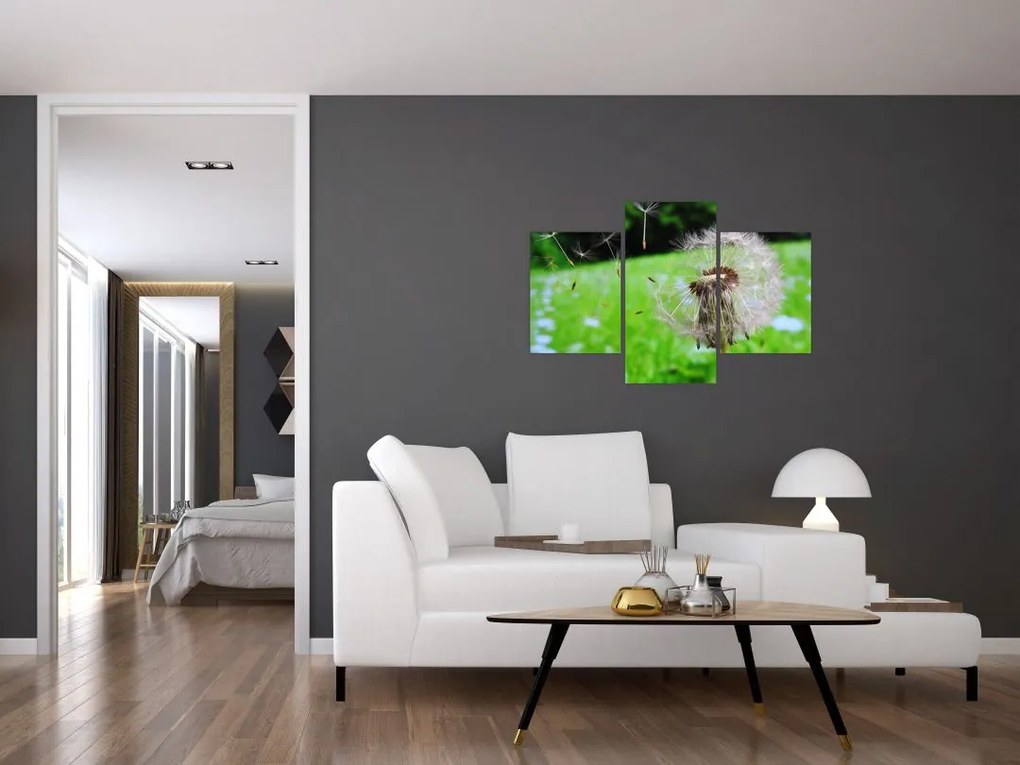 Tablou cu păpădie (90x60 cm)