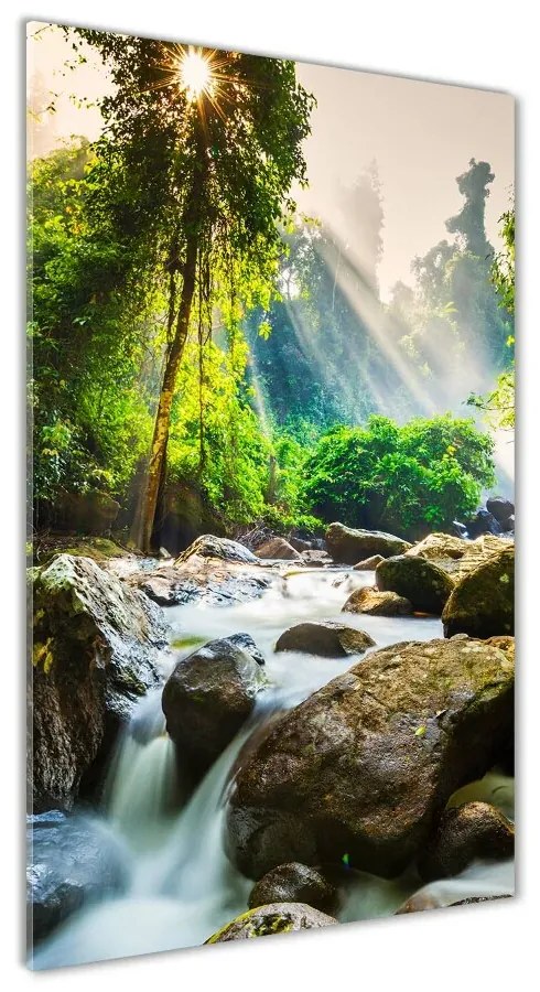 Imagine de sticlă Cascada din pădure