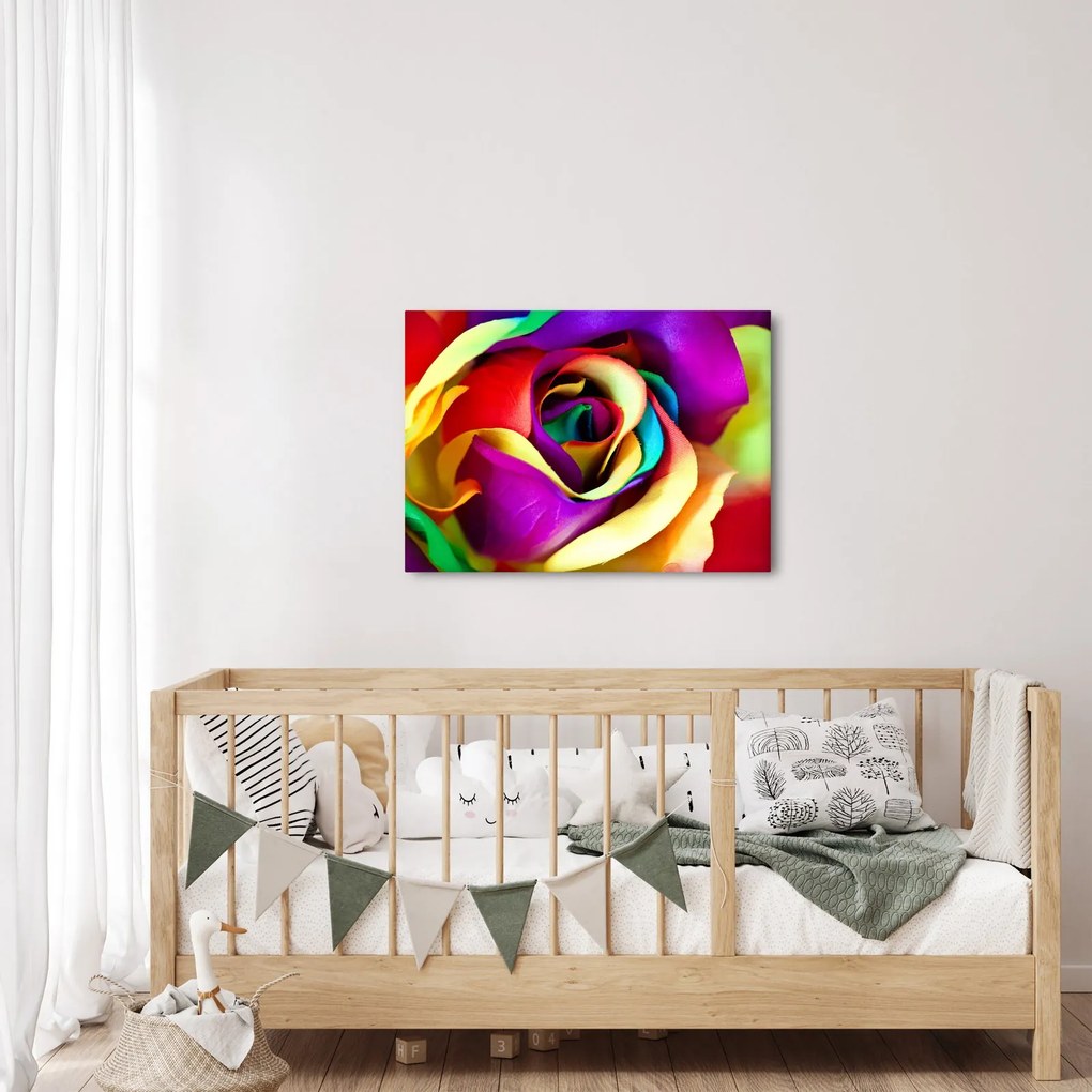 Tablou - Trandafir colorat (70x50 cm)